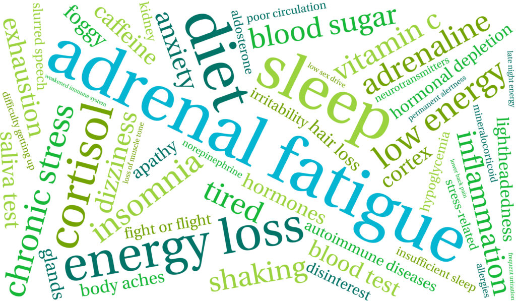 Adrenal fatigue word cloud including energy loss, diet, cortisol, sleep, blood sugar, low energy